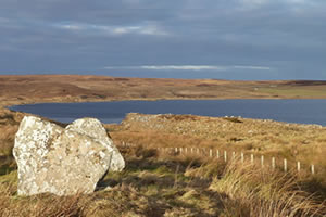 Loch Stemster and Munsary Peatlands Nature Reserve