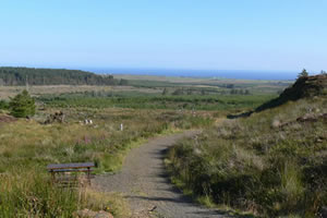 Rumster Forest Walks - near Lybster in Caithness