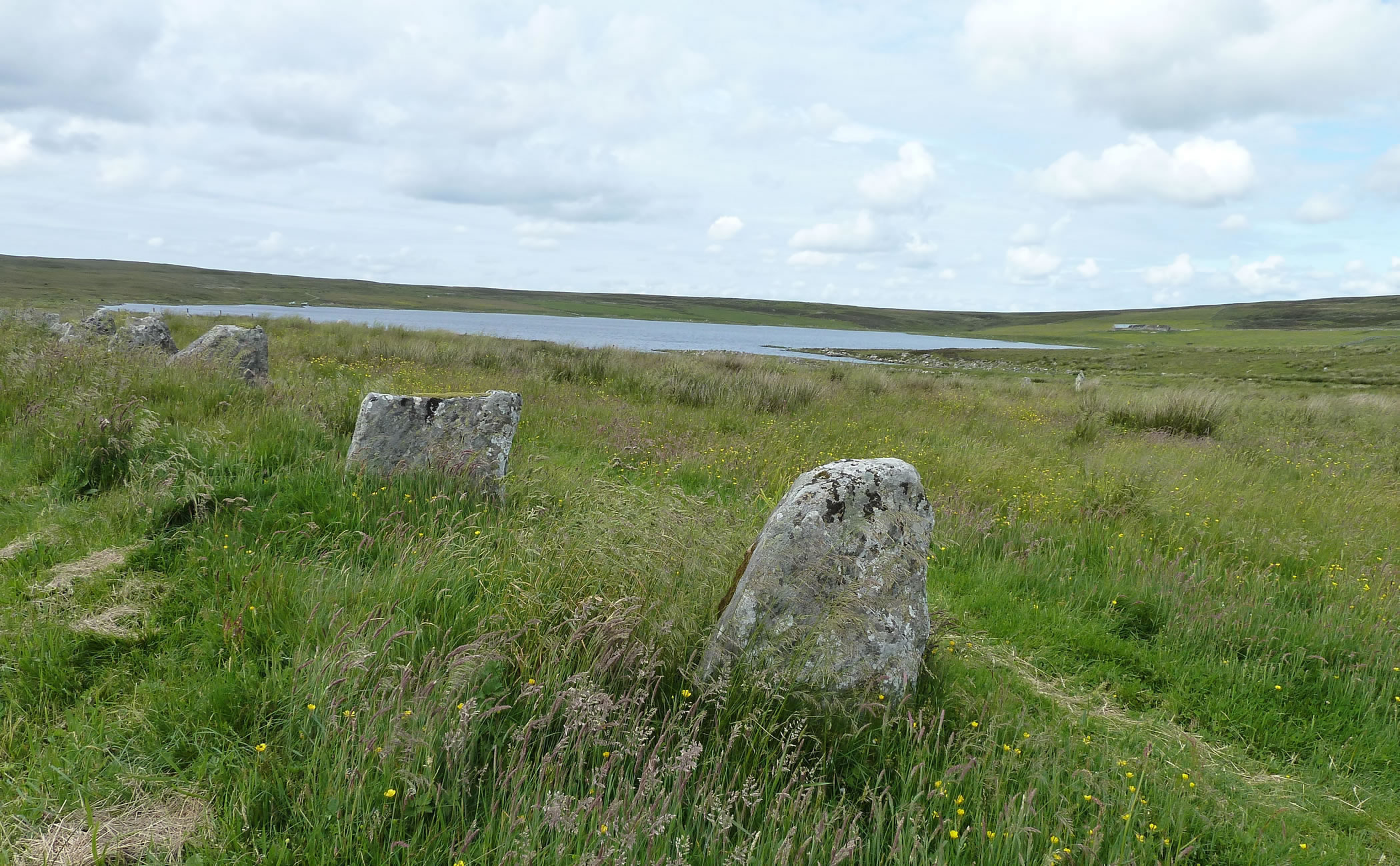 Achavanich standing stones / stone setting - Picture 9