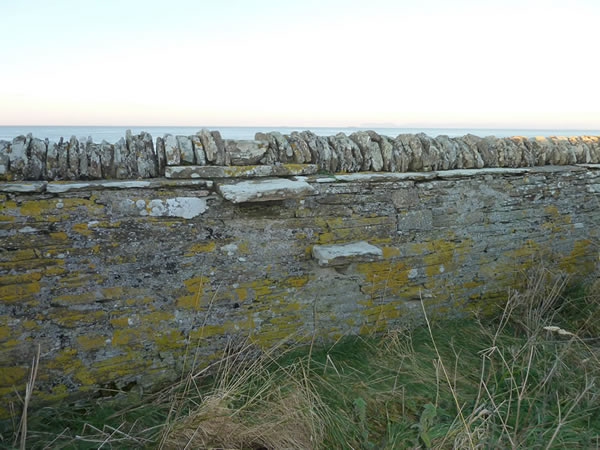 Picture | Brims Ness old burial ground