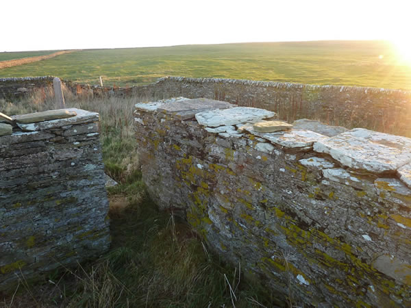 Picture | Brims Ness old burial ground