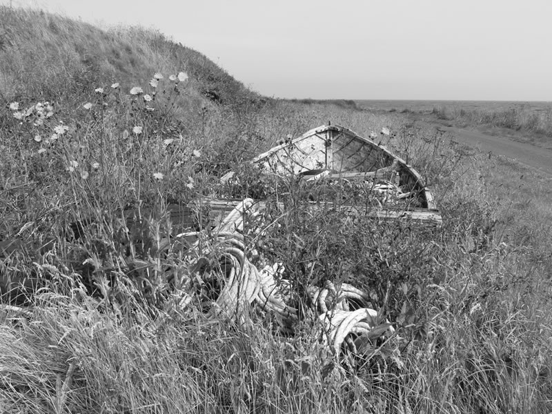 Old boat near harbour