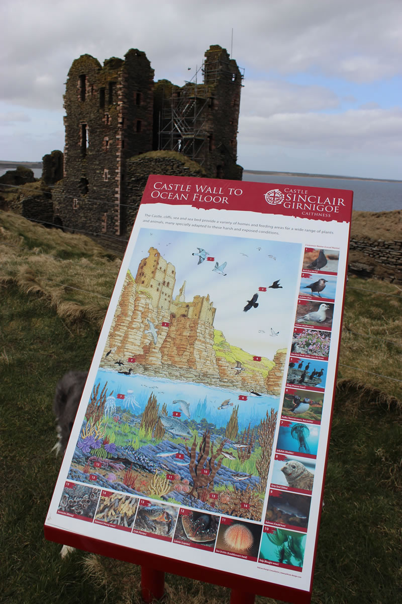 Coastal area information around the castle