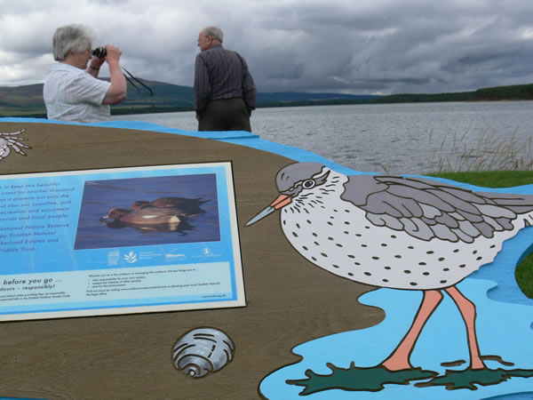 Bird and nature watching at Loch Fleet