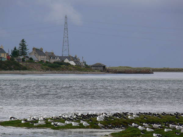 Loch Fleet looking over to Littleferry