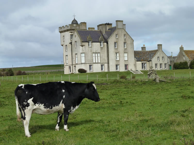 The new Keiss castle