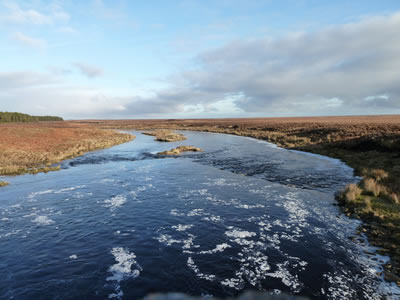 The River Thurso below the dam at Loch More