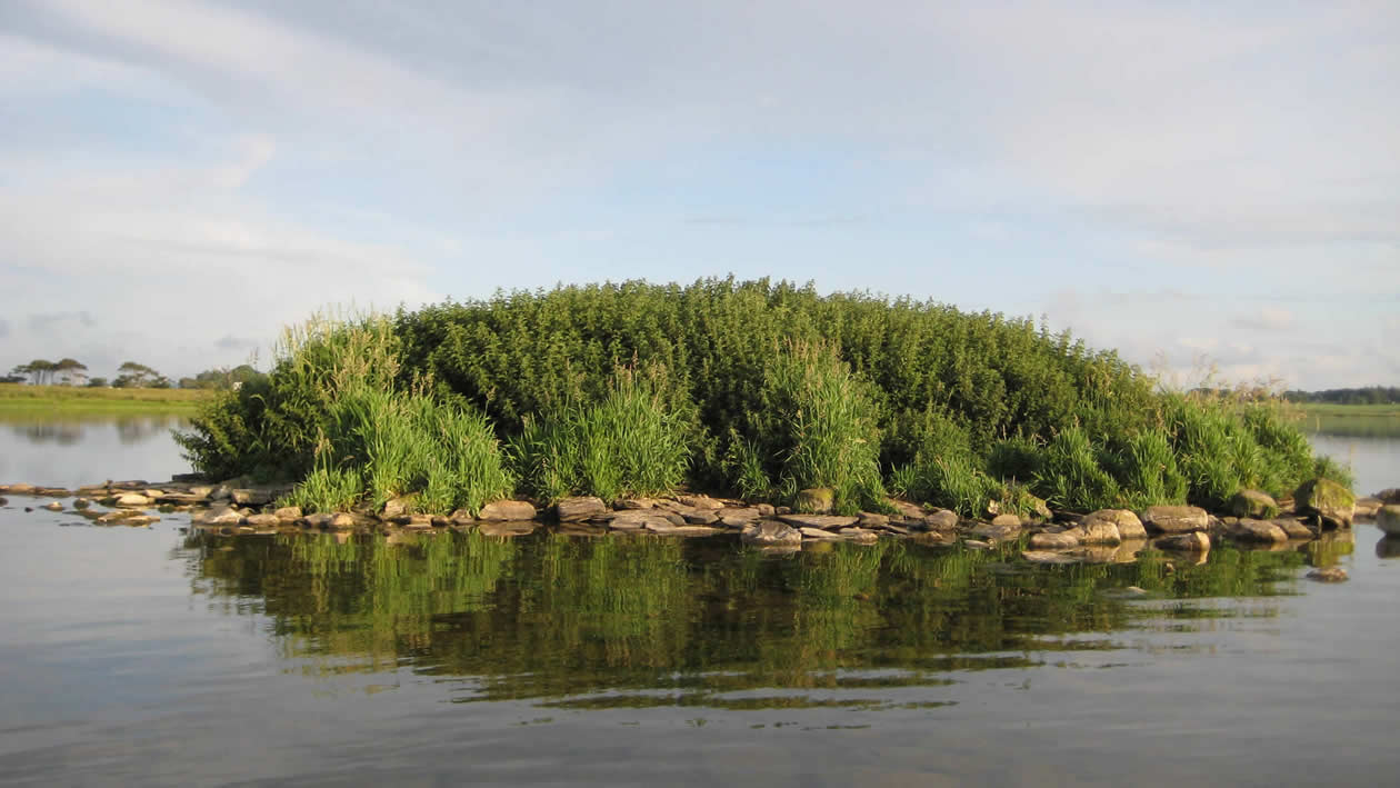 Location of Loch Watten crannog