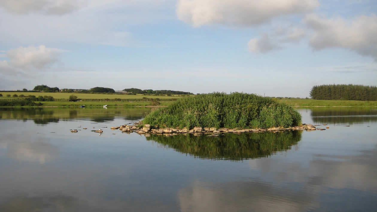 Loch Watten is surrounded mostly by farms and agricultural land