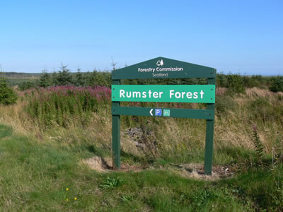 Forestry Commission parking signpost