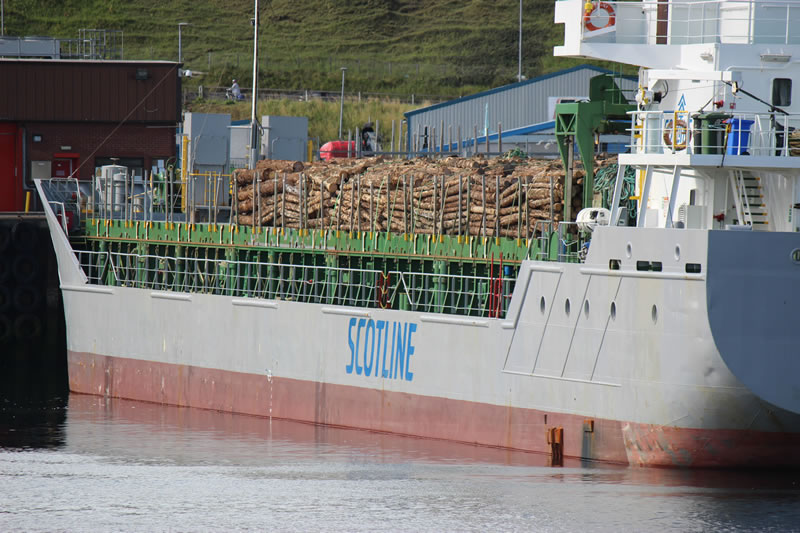 Cargo of Timber aboard the Scotline's ship Scot Trader.