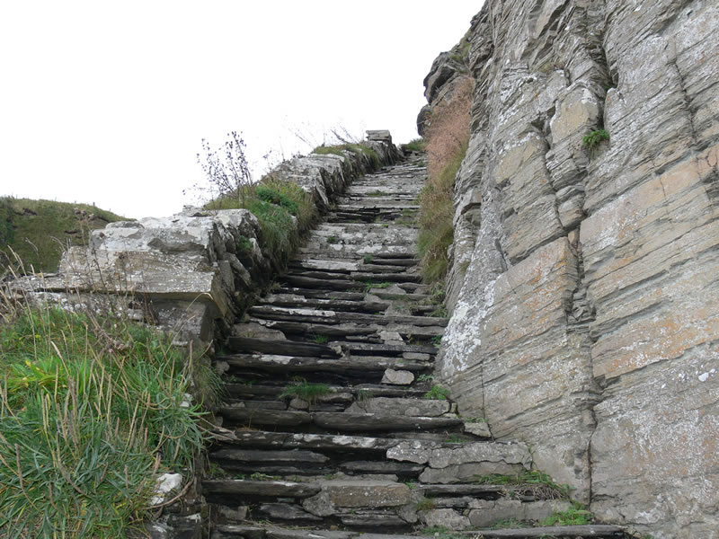 Whaligoe steps